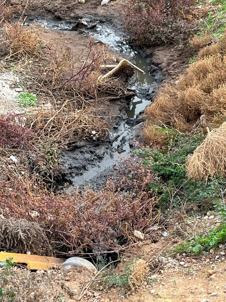 Fotos: Vertidos de purines junto al Mar Menor