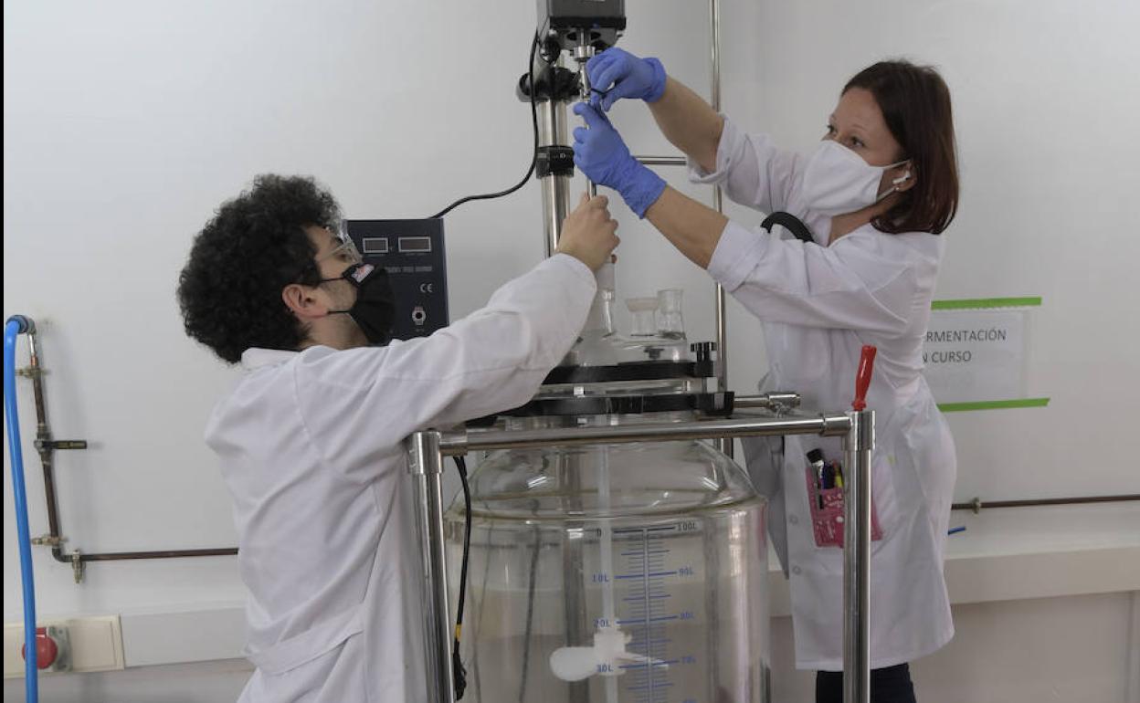 Salvador García y Virginia Mayor preparan el biorreactor de 100 litros para la fase preindustrial de producción. 