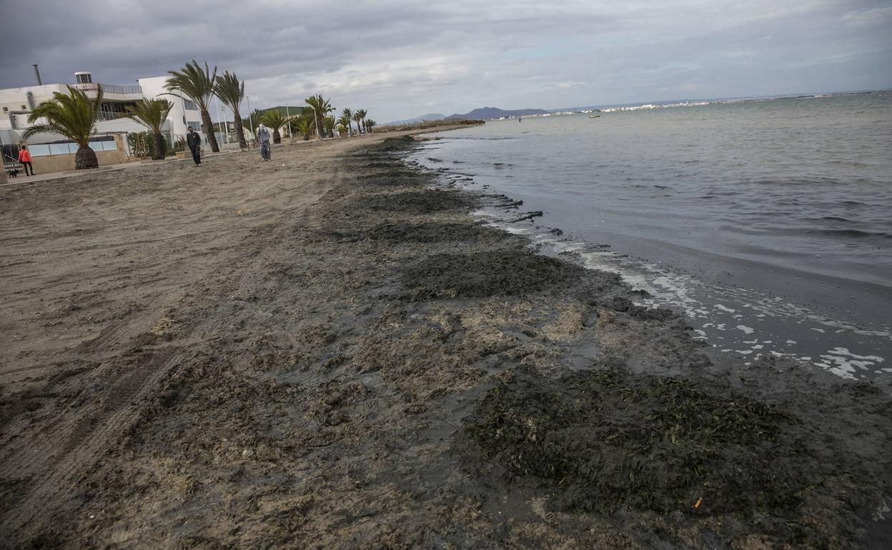 Lodo en la orilla de la playa de Los Urrutias, en noviembre del año pasado. 