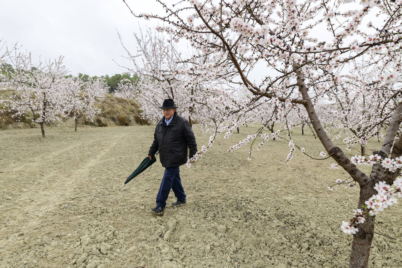 Fotos: Gabarrón une arte y naturaleza