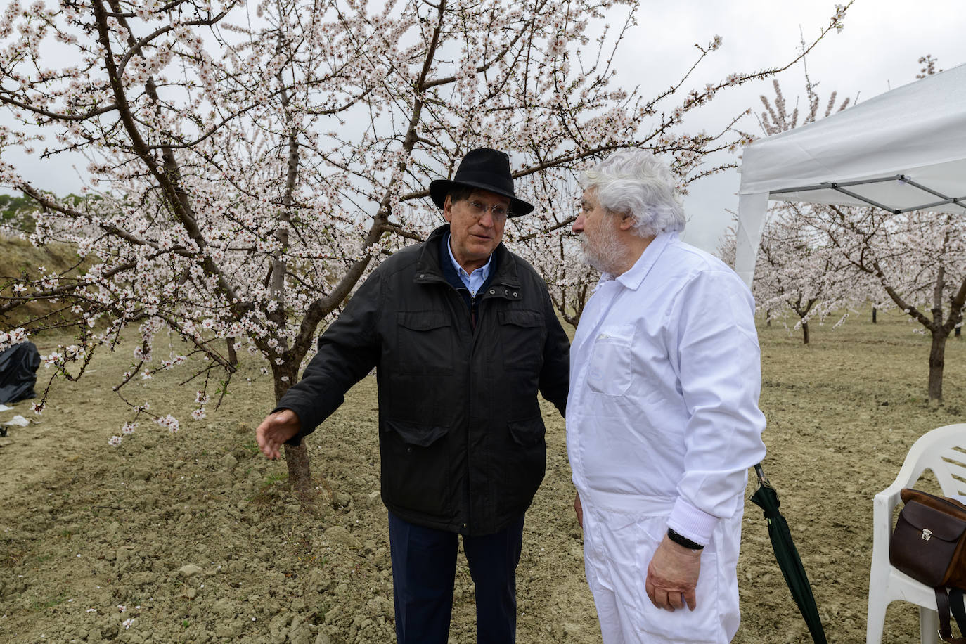 Fotos: Gabarrón une arte y naturaleza