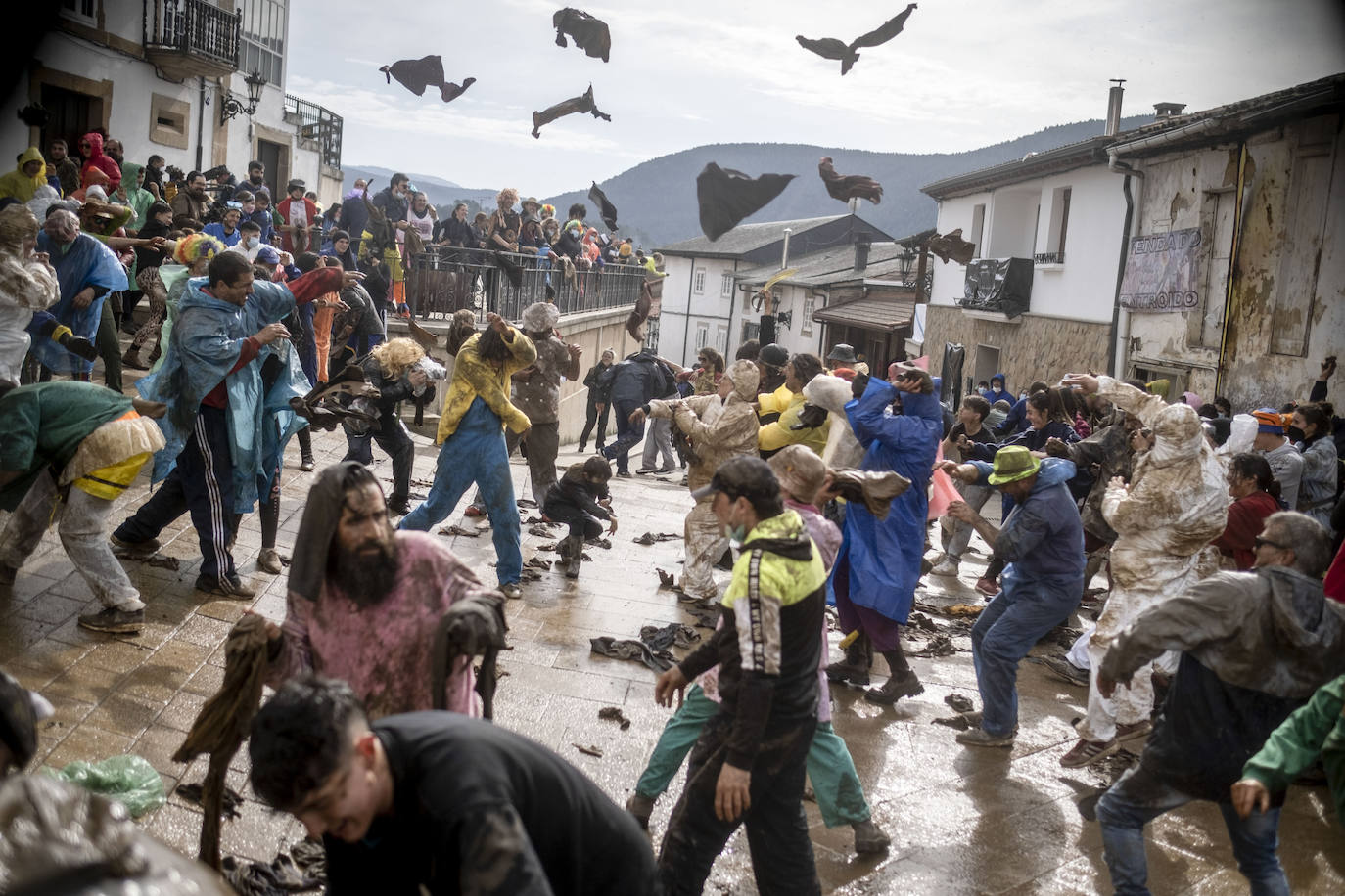 Fotos: Laza recupera las hormigas rabiosas
