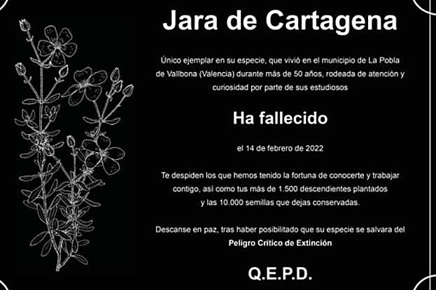 La esquela que distribuyeron técnicos de la Generalitat valenciana.