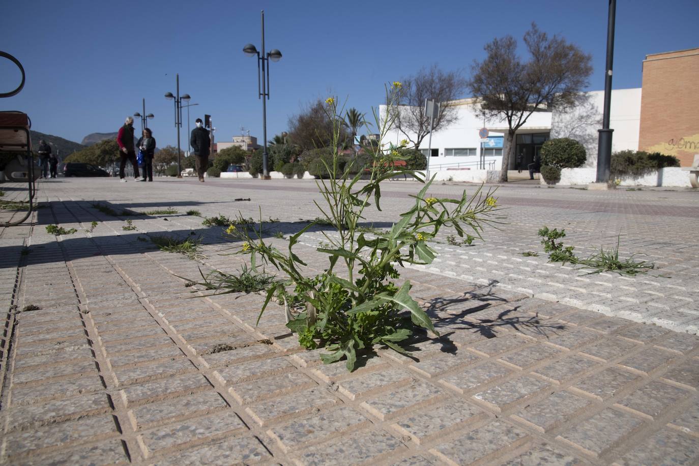 Fotos: Quejas en el barrio de Santa Lucía de Cartagena