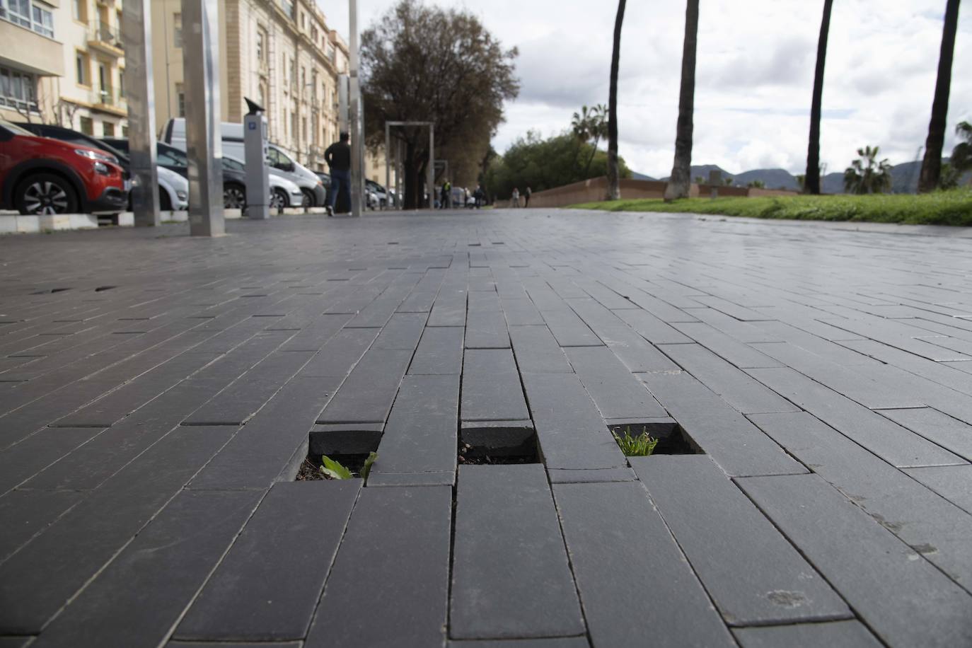 Fotos: Arrecian las quejas por los desperfectos en el pavimento de decenas de calles y plazas de Cartagena