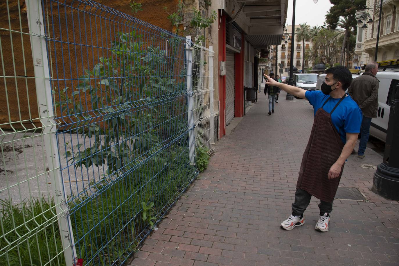 Fotos: Solares de Cartagena acumulan basura, maleza e insectos