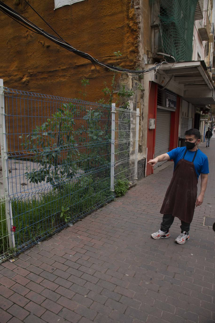 Fotos: Solares de Cartagena acumulan basura, maleza e insectos