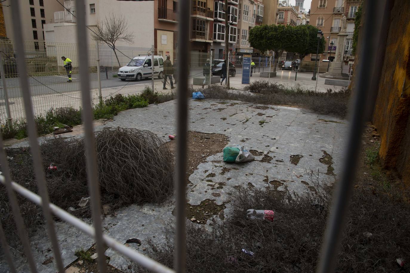 Fotos: Solares de Cartagena acumulan basura, maleza e insectos