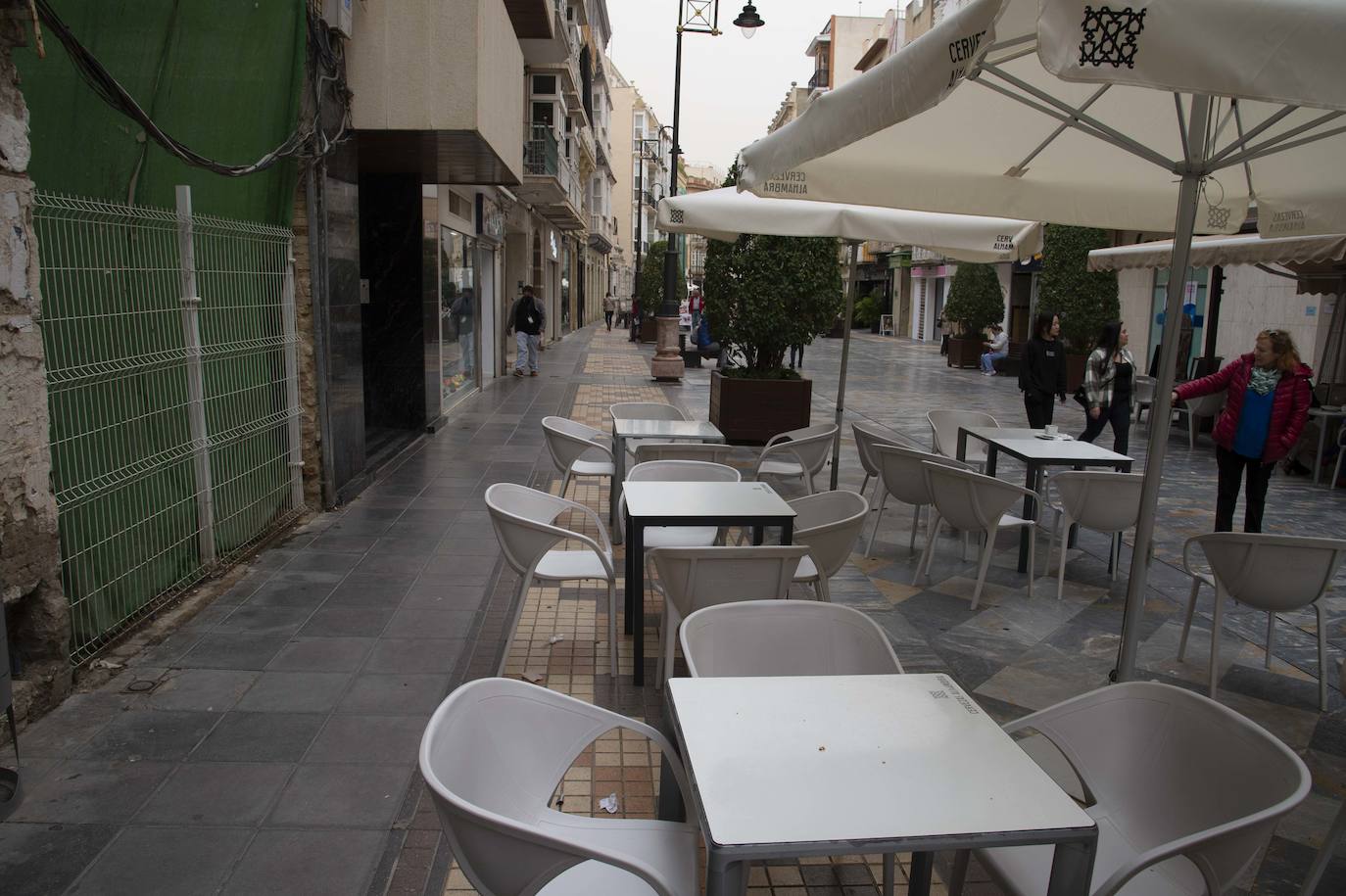 Fotos: Solares de Cartagena acumulan basura, maleza e insectos