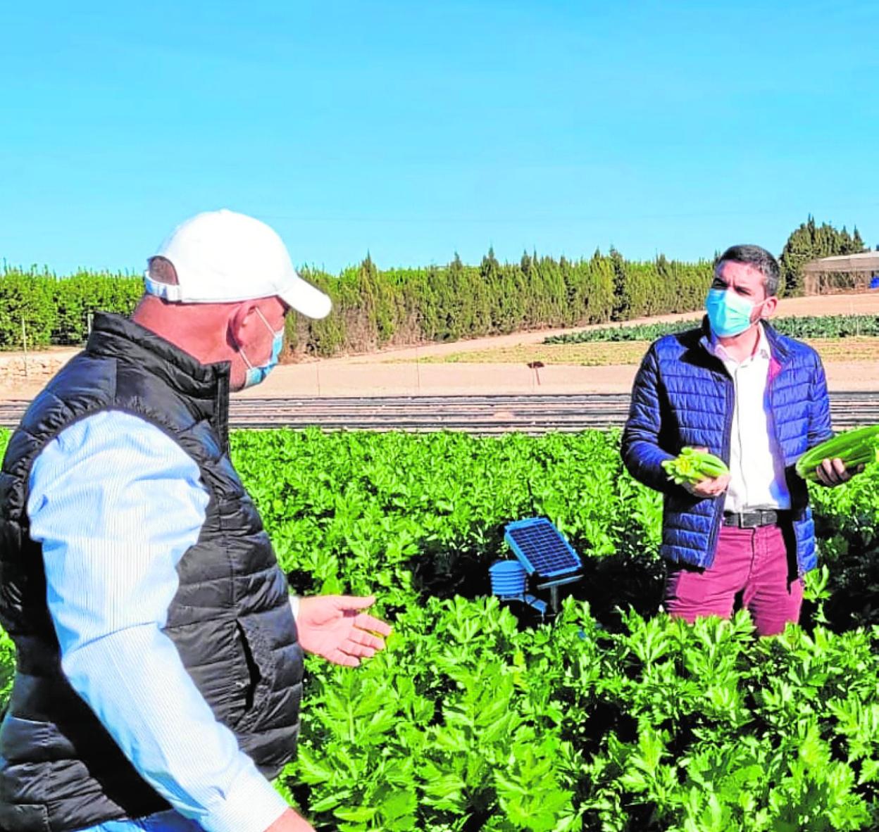 El consejero Antonio Luengo,en su visita a la finca donde se desarrolla el estudio. 