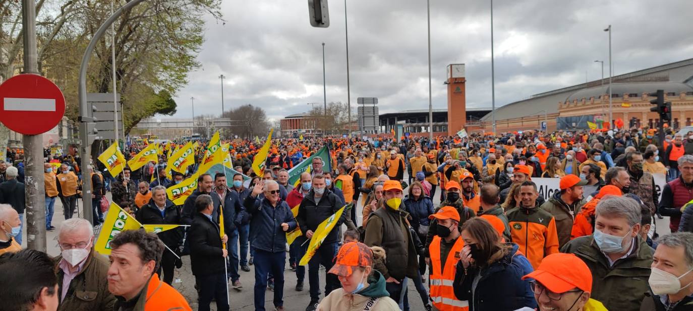 Fotos: Agricultores, ganaderos y cazadores murcianos participan en la manifestación de Madrid
