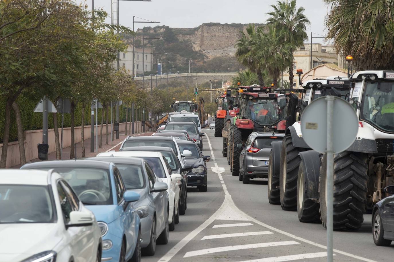 Fotos: Centenares de camioneros colapsan las calles de Cartagena, en imágenes