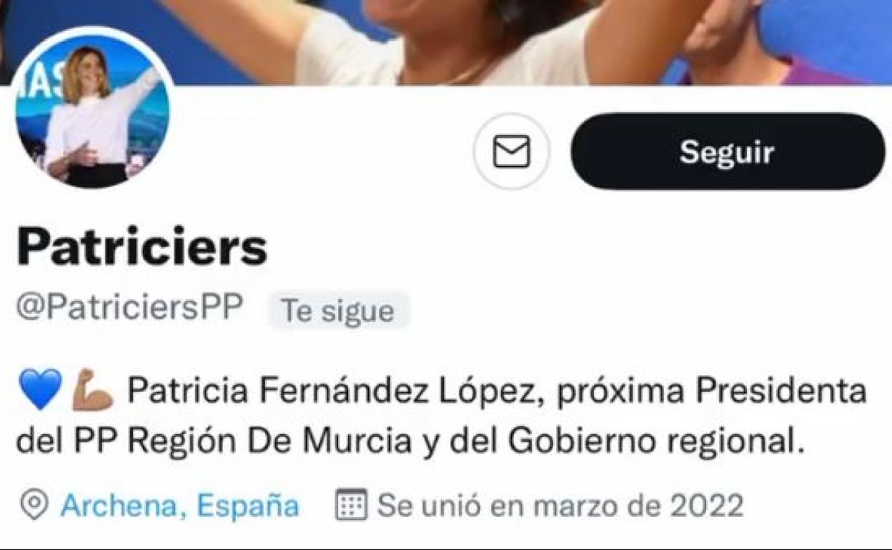 El perfil falso de Patricia Fernández que ya ha sido eliminado.