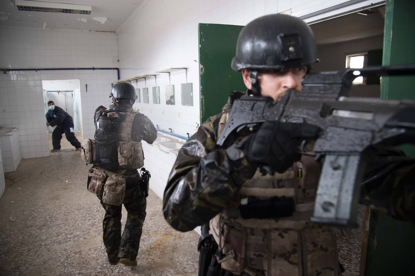 Fotos: Perros adiestrados para salvar vidas