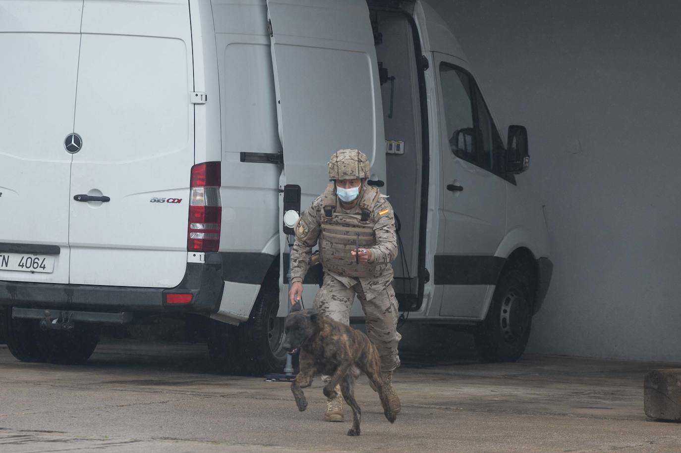 Fotos: Perros adiestrados para salvar vidas
