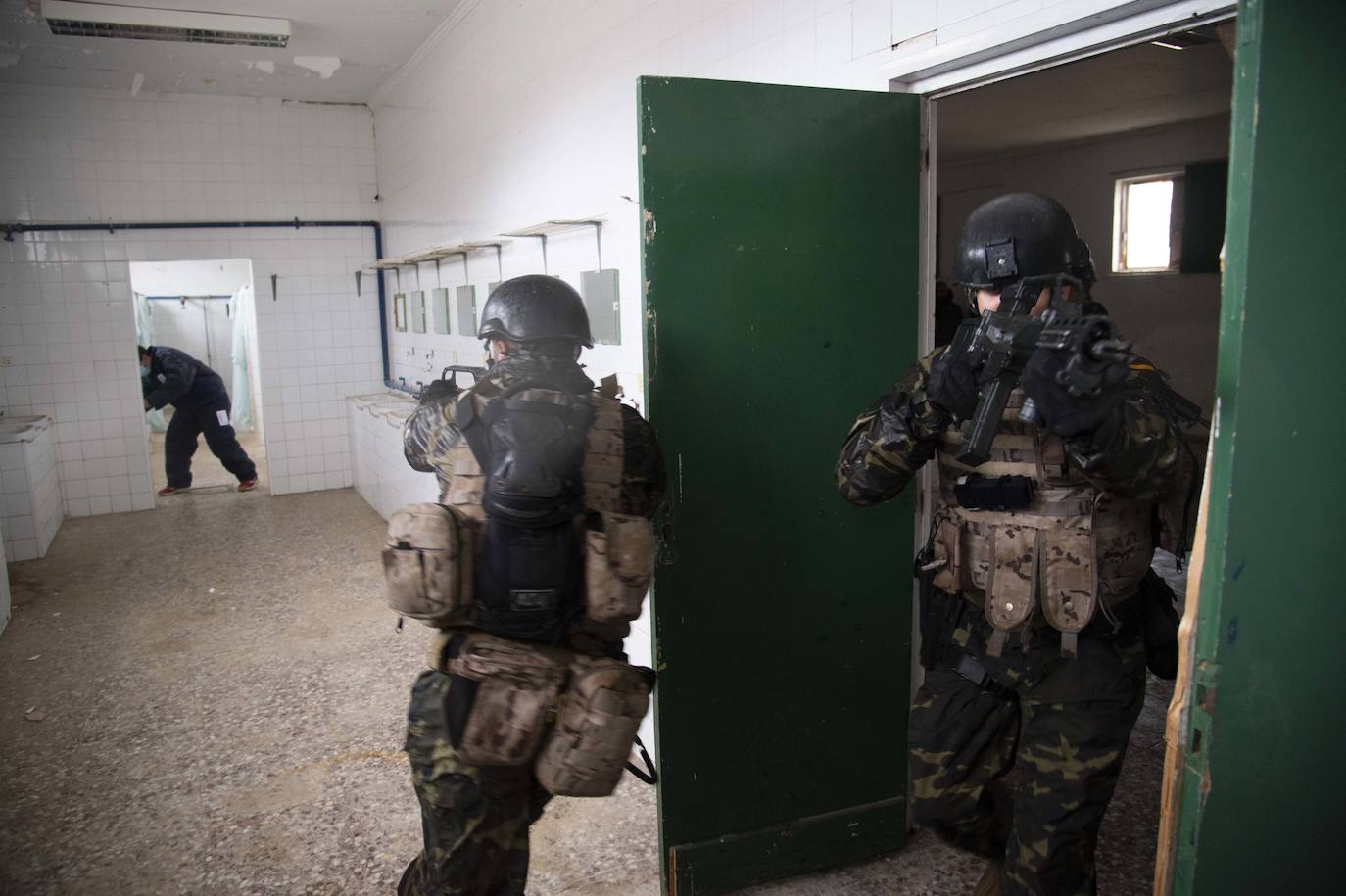 Fotos: Perros adiestrados para salvar vidas