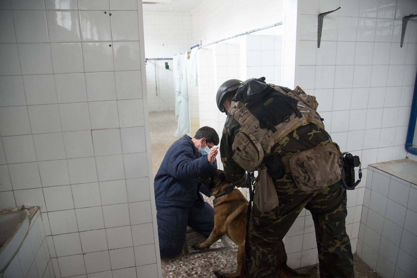 Fotos: Perros adiestrados para salvar vidas