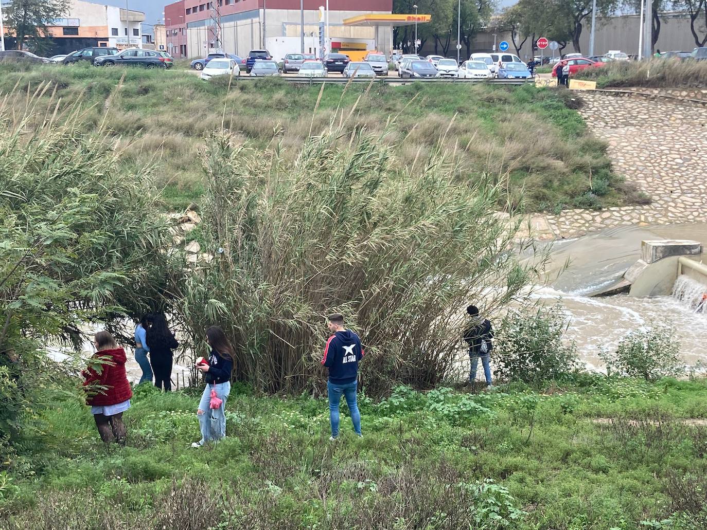 Fotos: Quejas entre los vecinos de Murcia por la imagen de decenas de jóvenes orinando en el río Segura