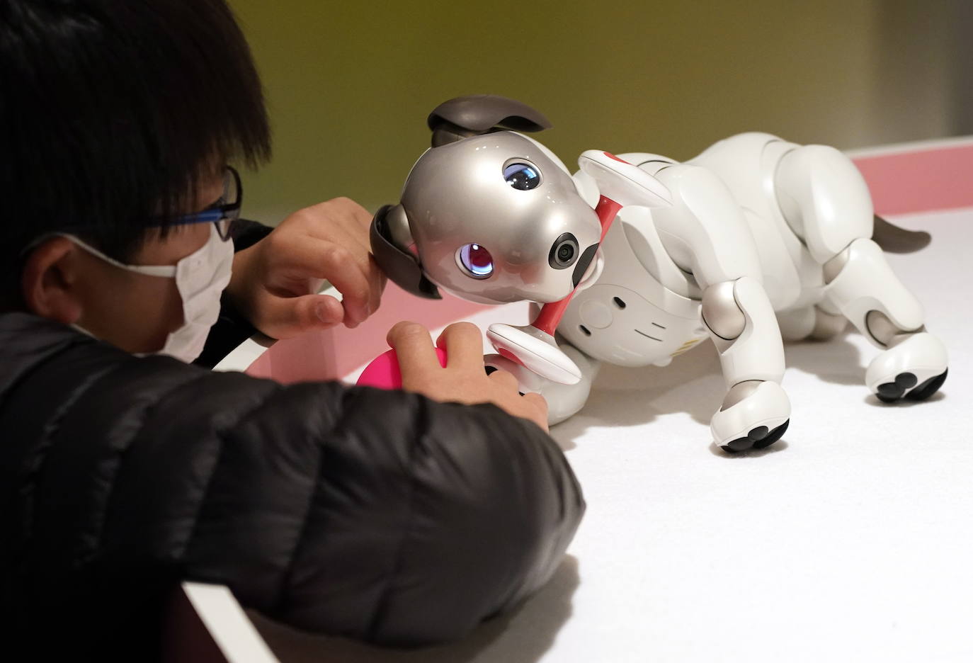 Fotos: Robots y humanos