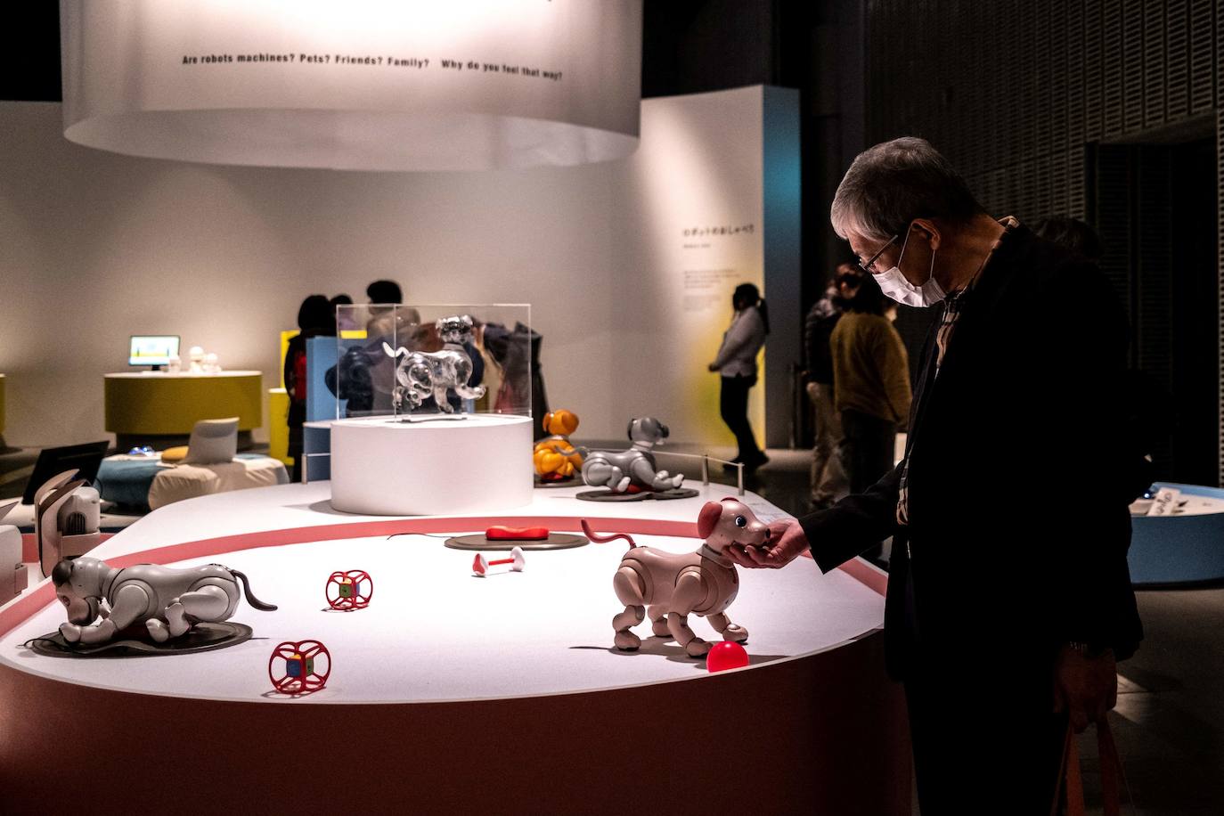 Fotos: Robots y humanos