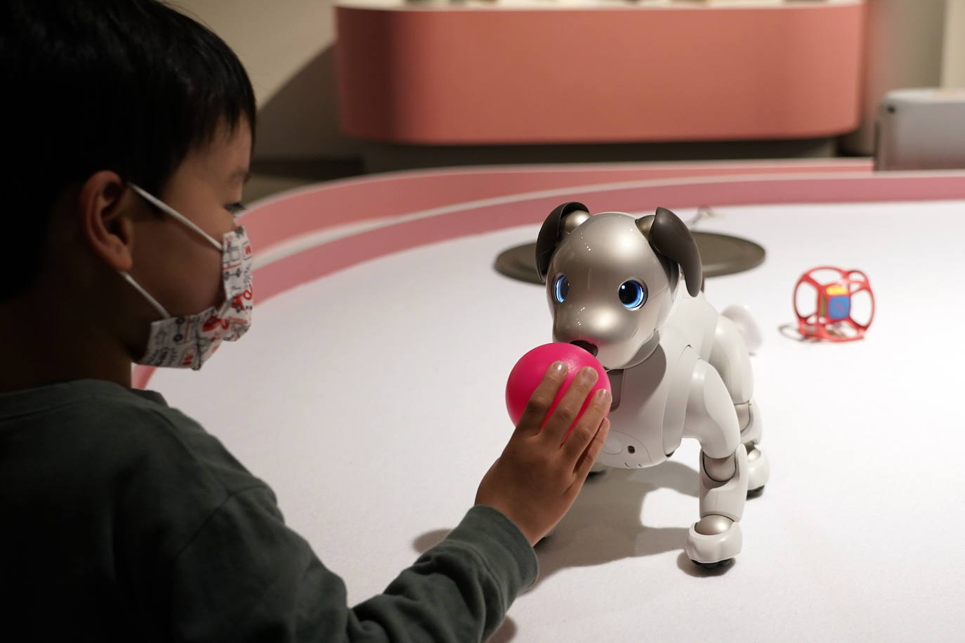 Fotos: Robots y humanos