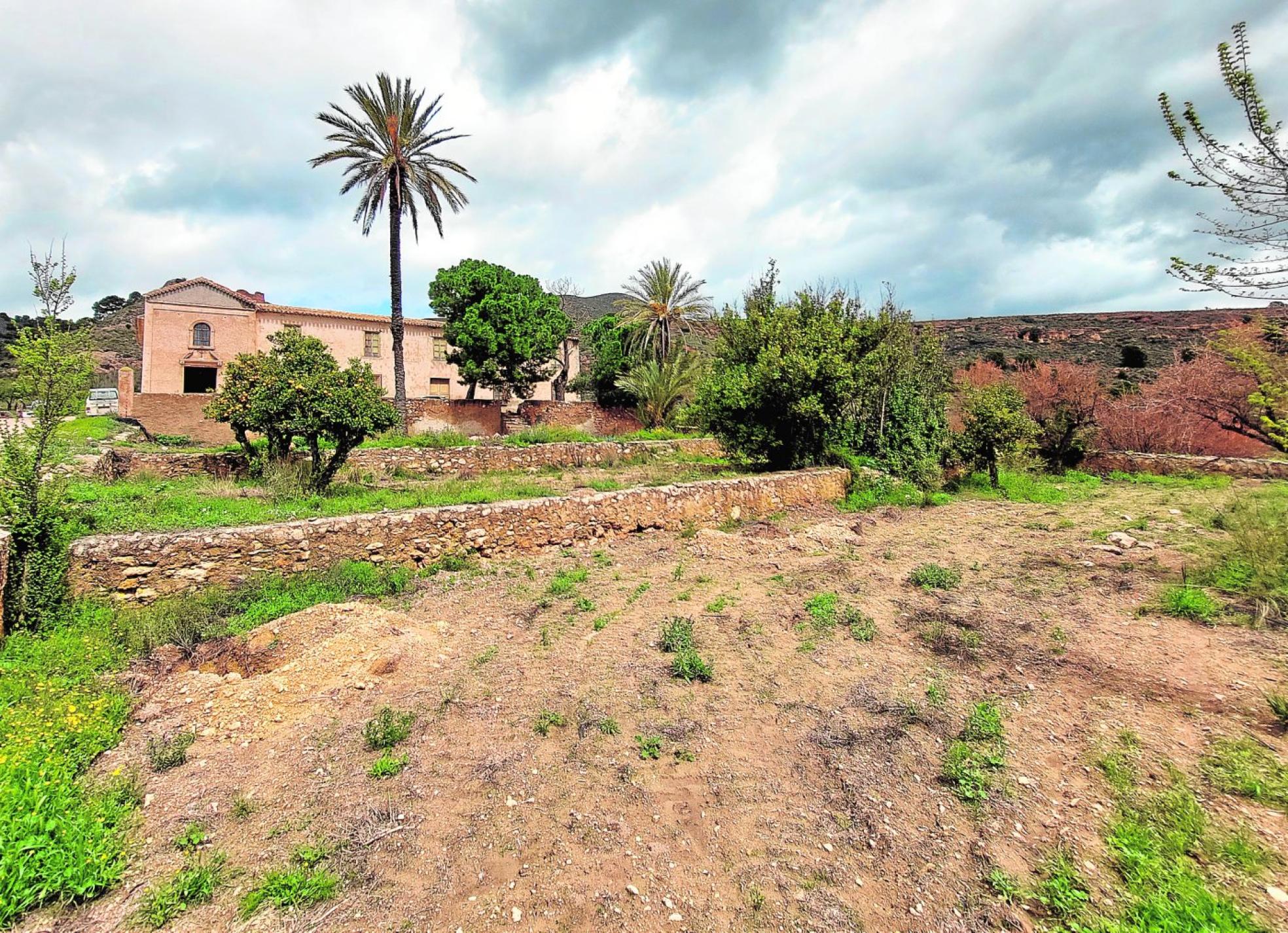 Espacio pensado para establecer el jardín andalusí del proyecto 'Cultivos promisorios, una oportunidad de adaptación al cambio climático'. 