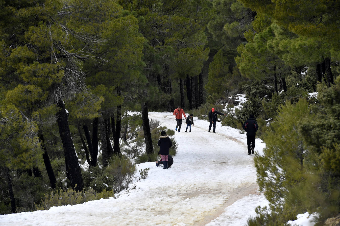 Fotos: Sierra Espuña amanece teñida de blanco tras dos días de nieve