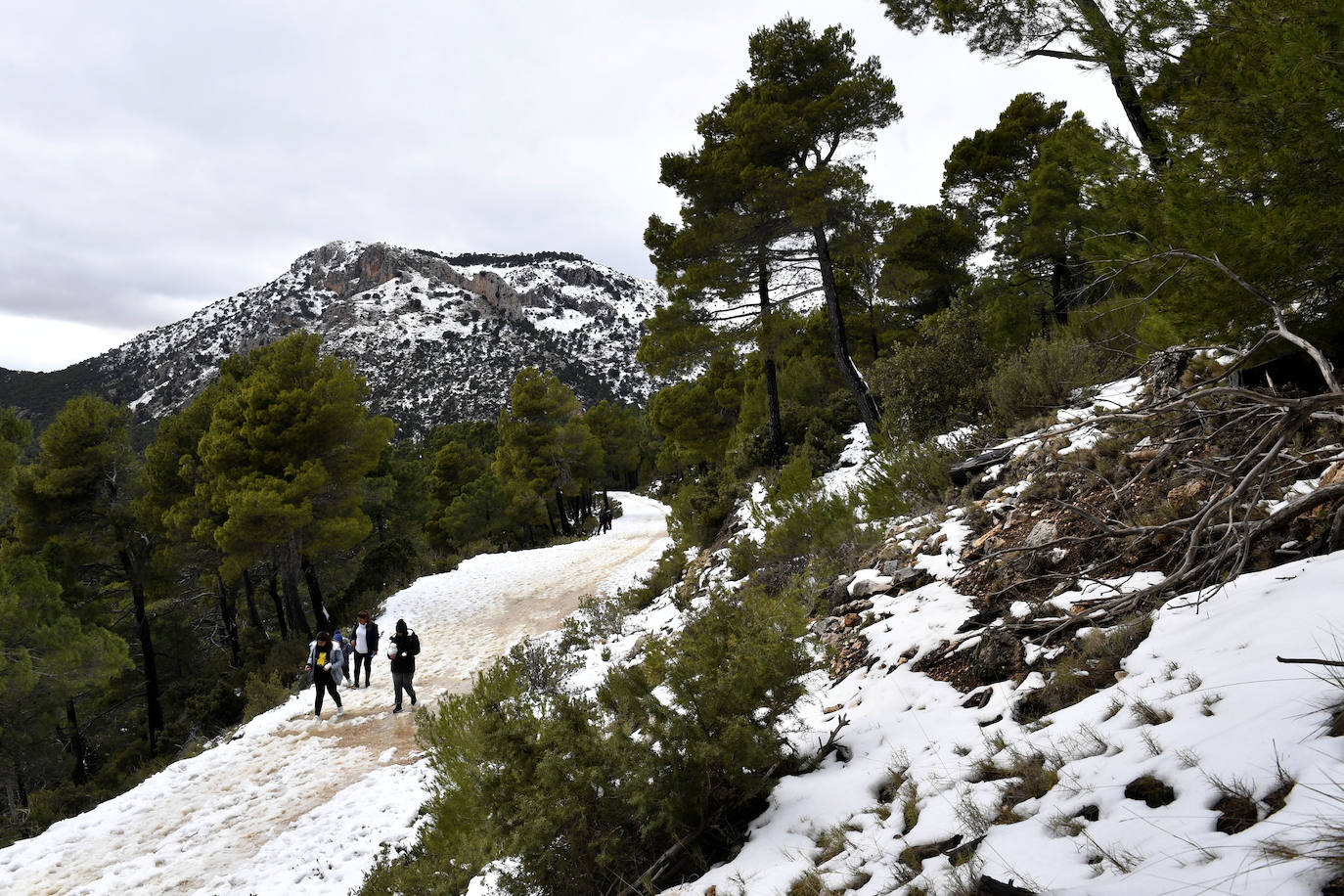 Fotos: Sierra Espuña amanece teñida de blanco tras dos días de nieve