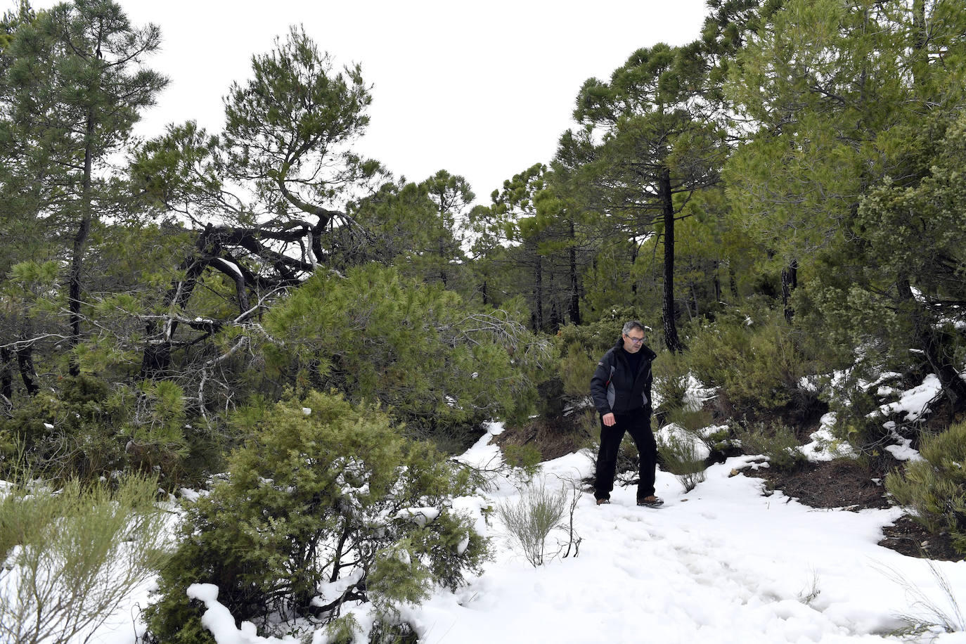 Fotos: Sierra Espuña amanece teñida de blanco tras dos días de nieve