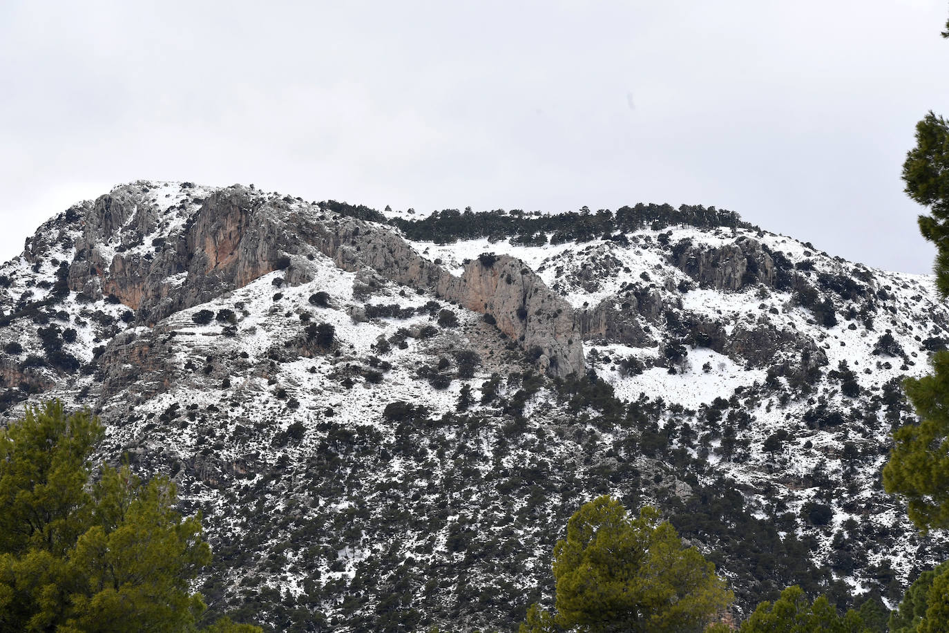 Fotos: Sierra Espuña amanece teñida de blanco tras dos días de nieve