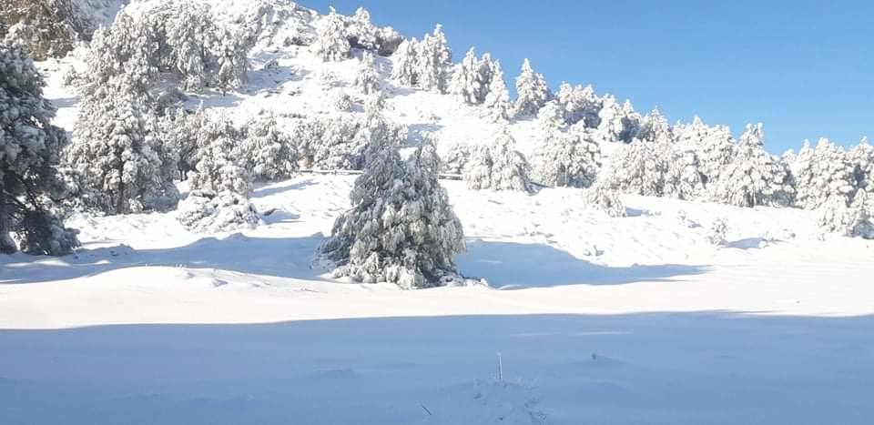 Fotos: Sierra Espuña amanece teñida de blanco tras dos días de nieve