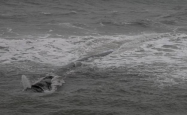 El emisario de la depuradora, en Cala Reona.