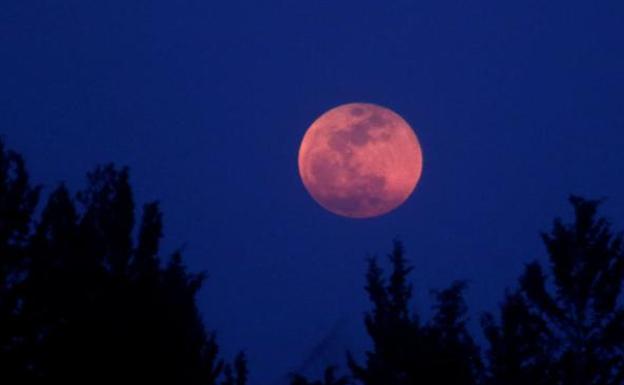 Superluna rosa de abril: cuándo ver este fenómeno astronómico