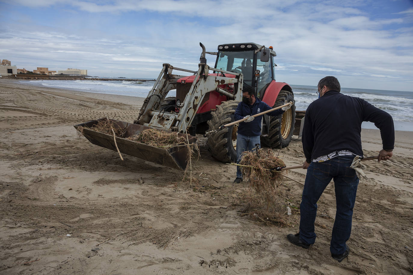 Fotos: Trabajo contra reloj para adecentar las playas de la Región