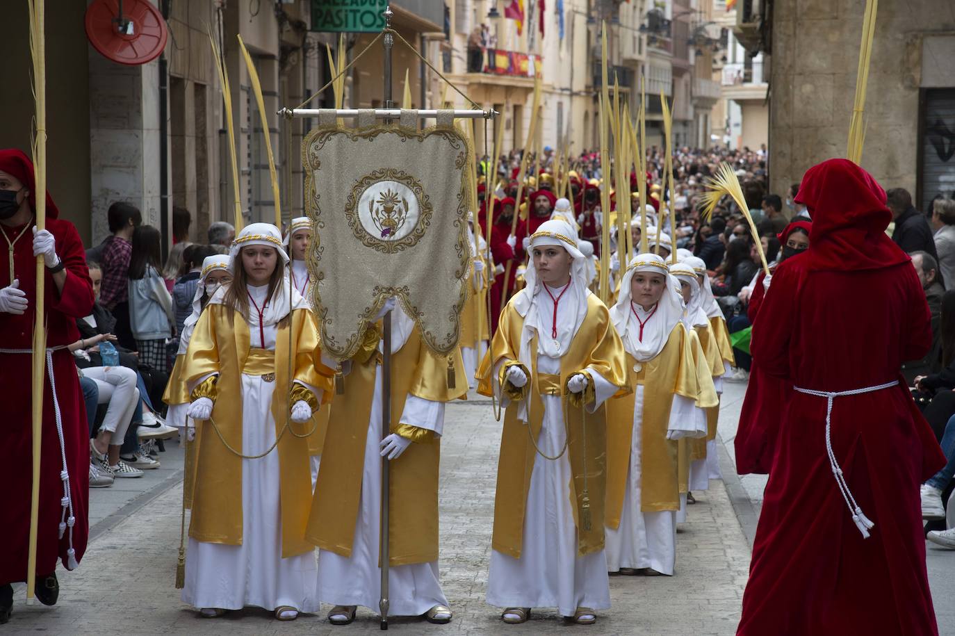 Fotos: Un mar de palmas guía a Jesús a Jerusalén