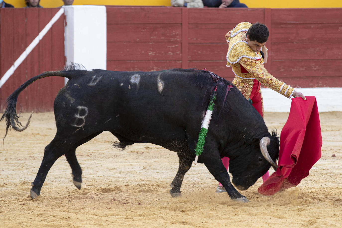 Fotos: Puerta grande para Ureña y Galdós en Yecla