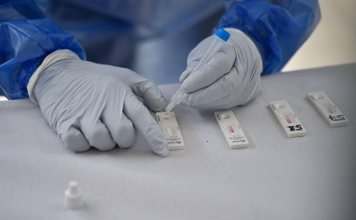 Un sanitario con varios test de antígenos.