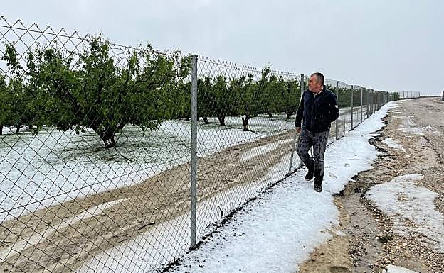 El granizo tiñe de blanco los parajes de Cieza, este miércoles.