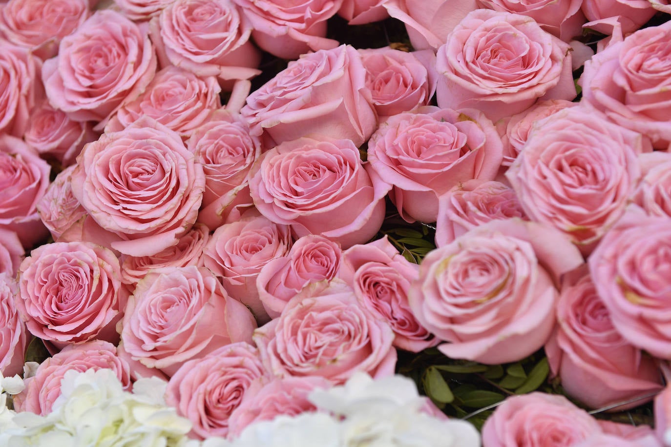 Fotos: Las imágenes del desfile de la Batalla de las Flores 2022