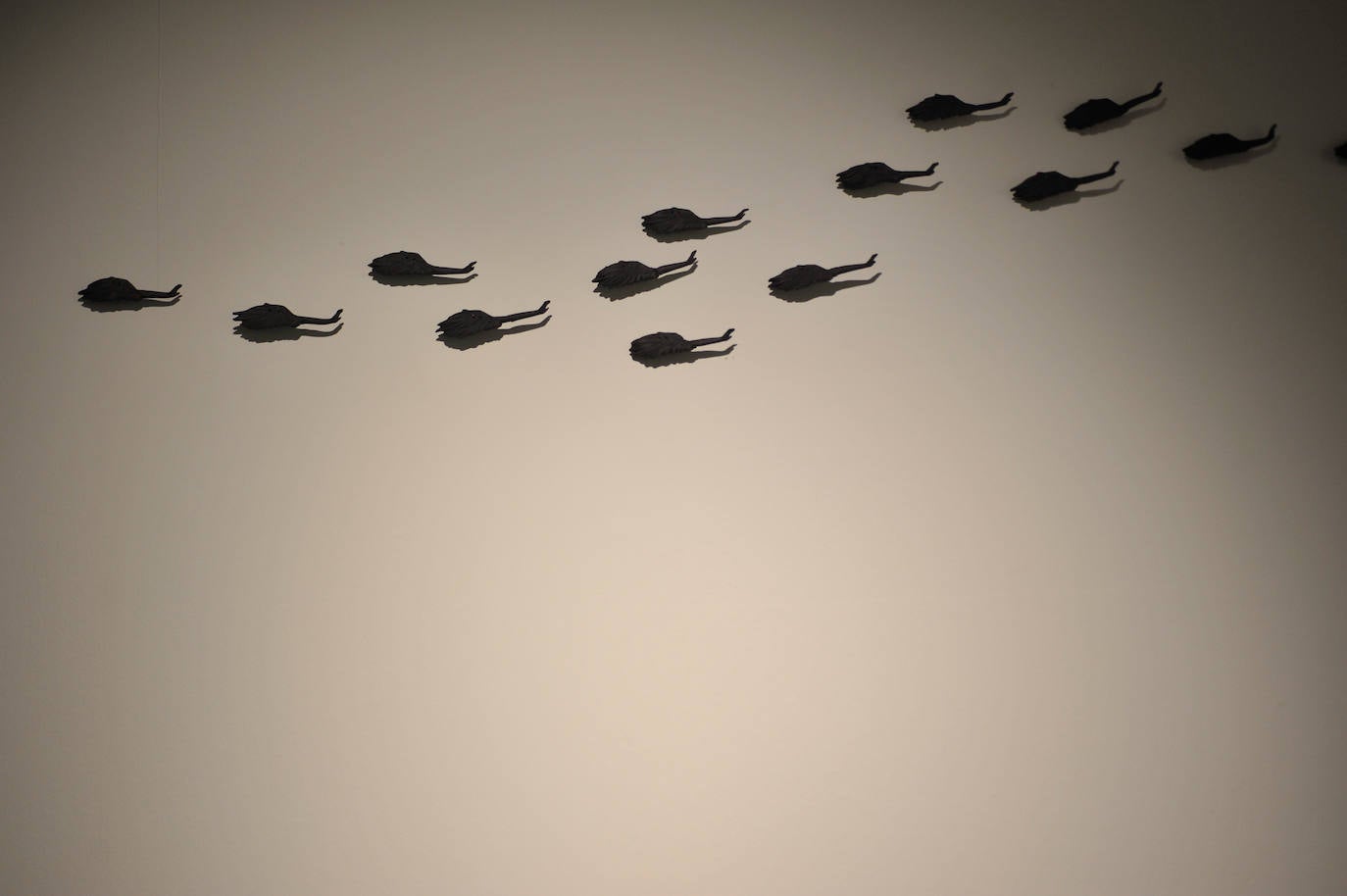 Fotos: Concha Martínez Montalvo expone en el Centro Párraga &#039;Algoritmo de sal&#039;