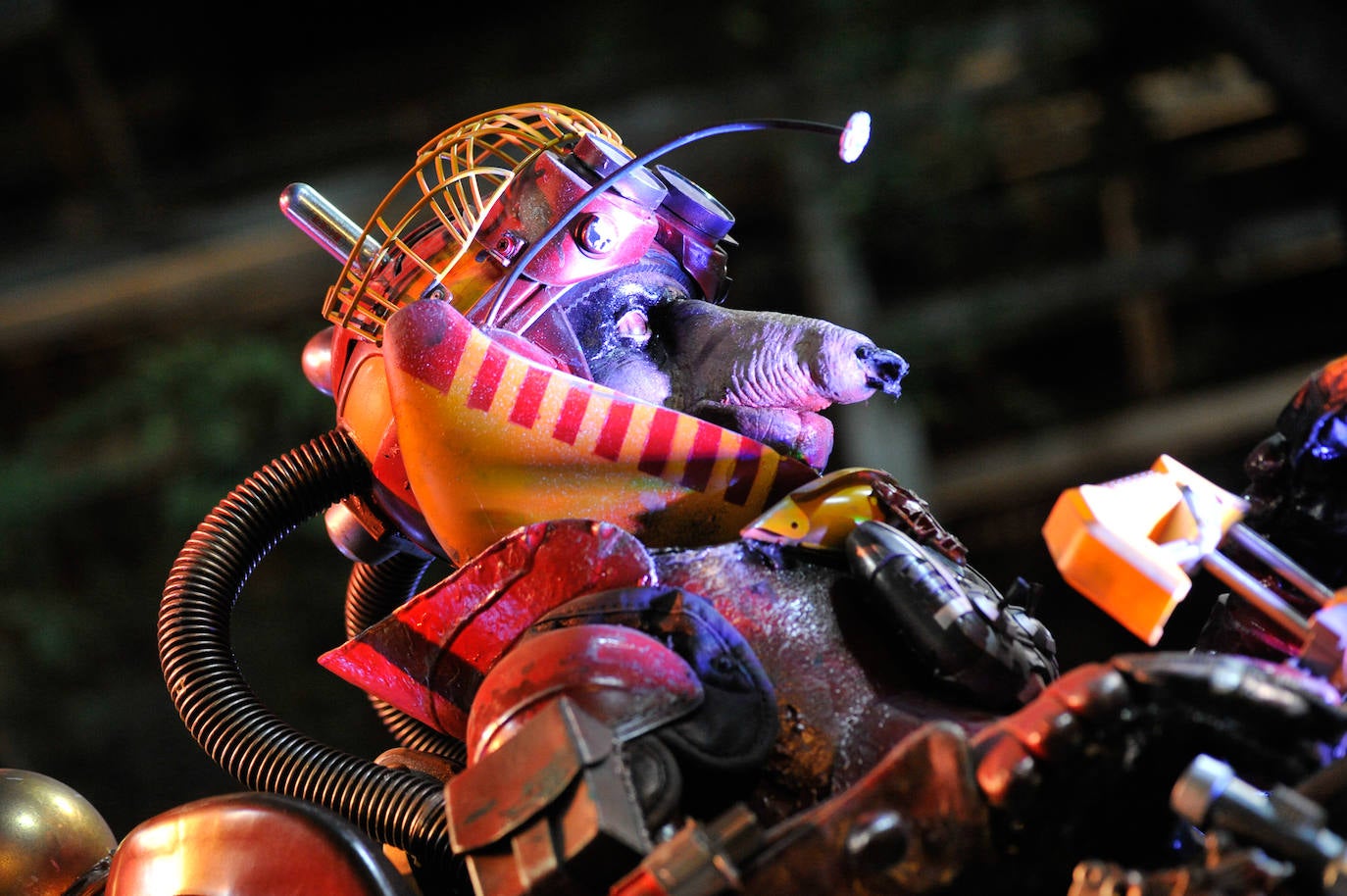 Fotos: Las mejores fotografías del Entierro de la Sardina