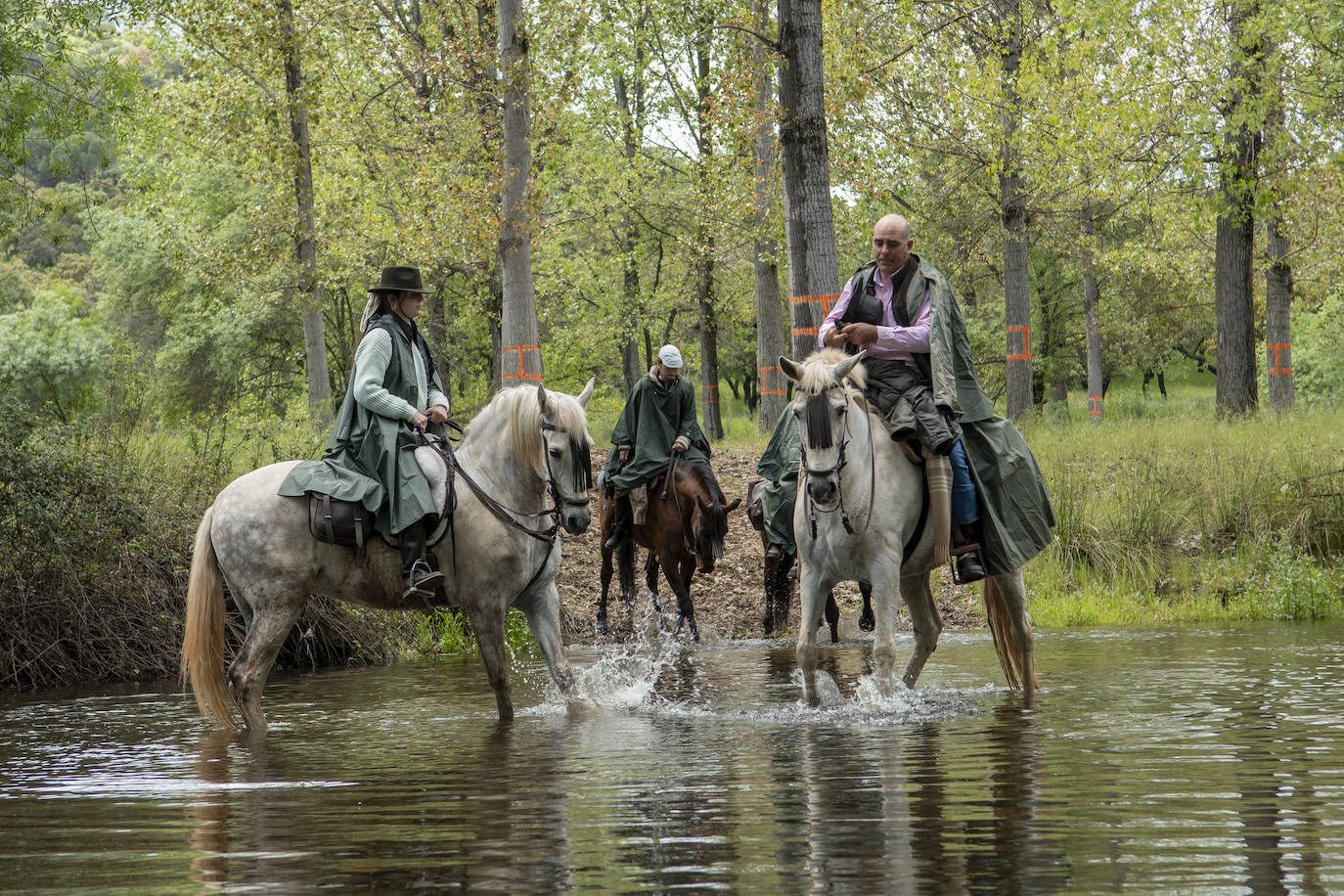 Fotos: El reencuentro de los romeros