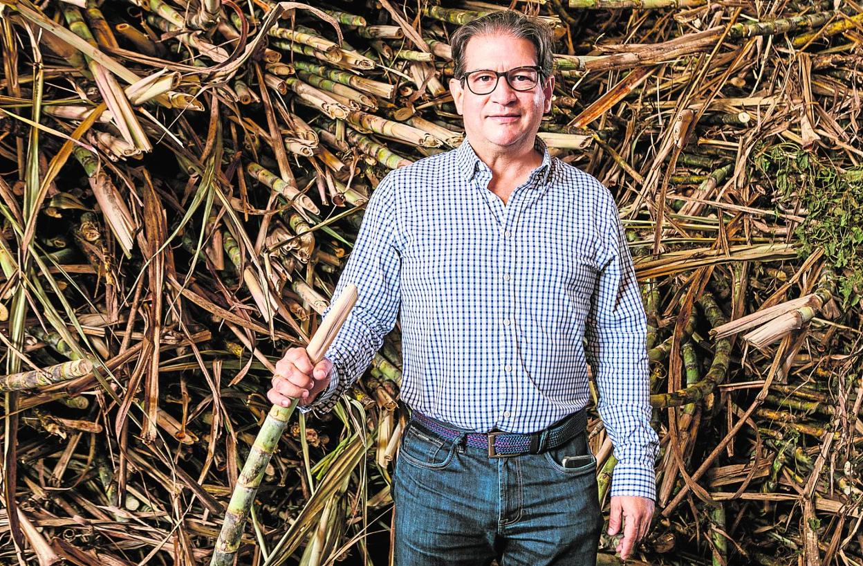 El ministro Rodolfo Enrique Zea Navarro, junto a una pila de caña de azúcar, materia prima que podría reemplazar a la remolacha ucraniana para la industria murciana de golosinas. 