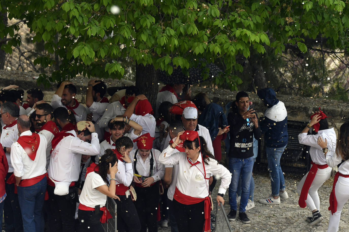 Fotos: Carrera de los Caballos del Vino 2022