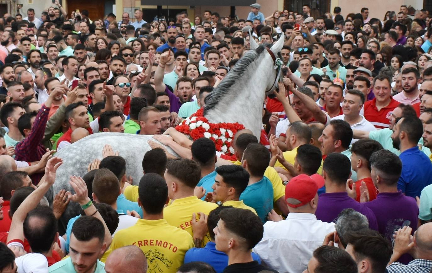 Fotos: &#039;Zíngaro&#039;, de la peña Al-Bino, gana el concurso a pelo en Caravaca de la Cruz
