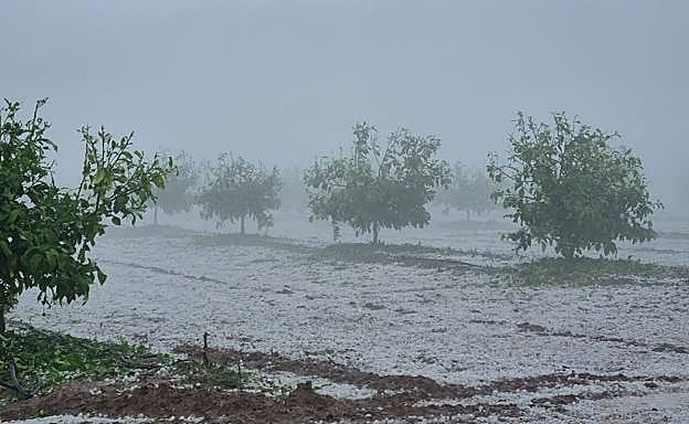 La tormenta cubrió de un manto blanco de granizo fincas agrícolas. 