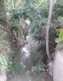 Imagen secundaria 2 - Denuncian que la acequia mayor Alquibla de Murcia entra en la Lista Roja nacional del patrimonio en peligro