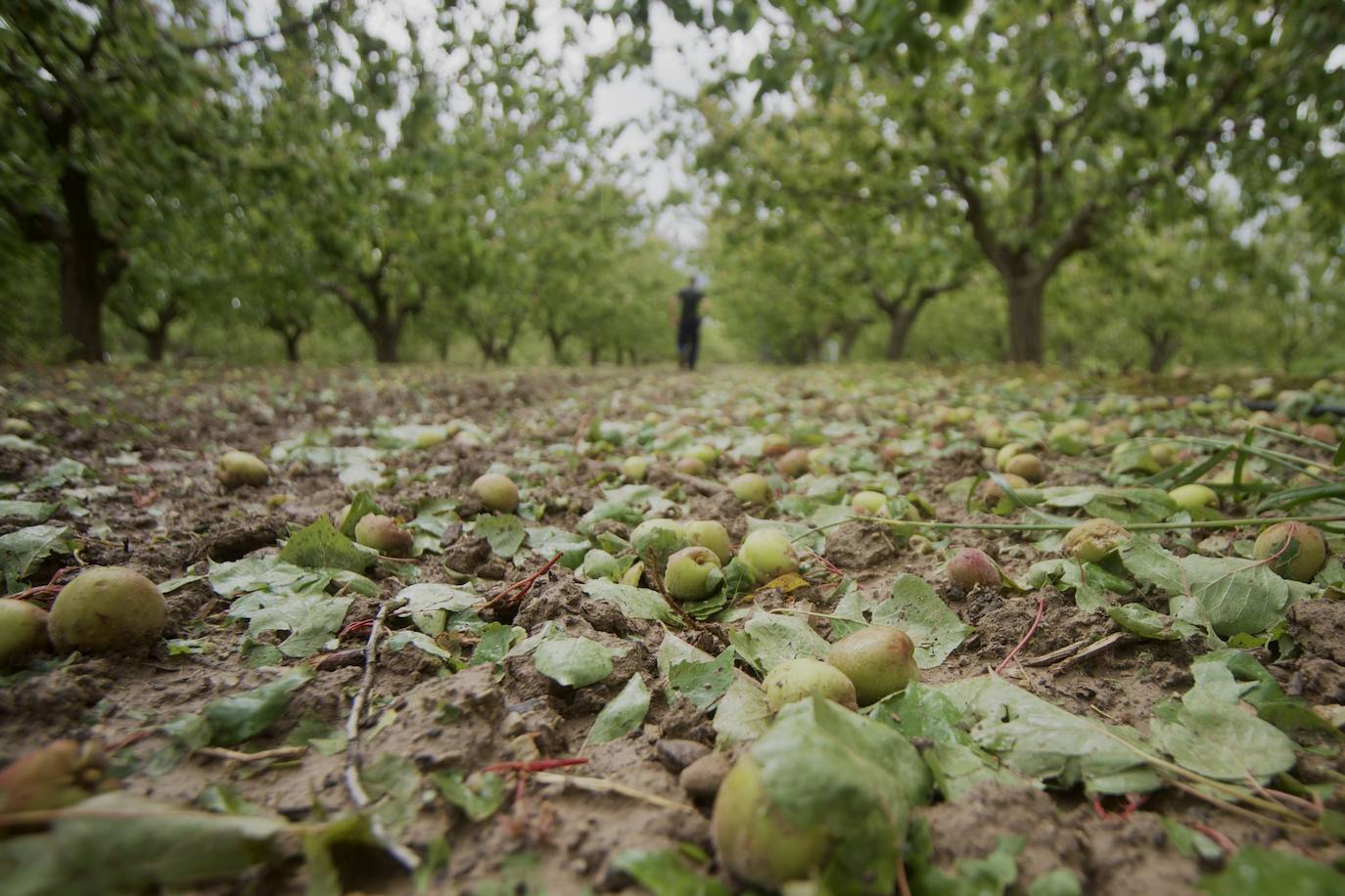 Fotos: Las consecuencias del tornado en Mula
