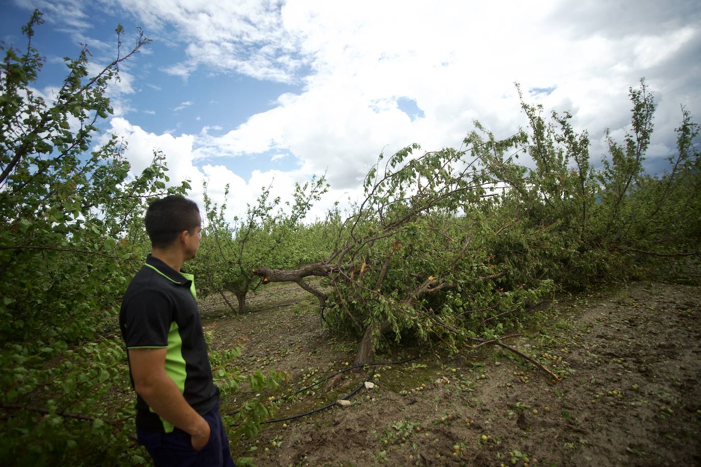 Fotos: Las consecuencias del tornado en Mula