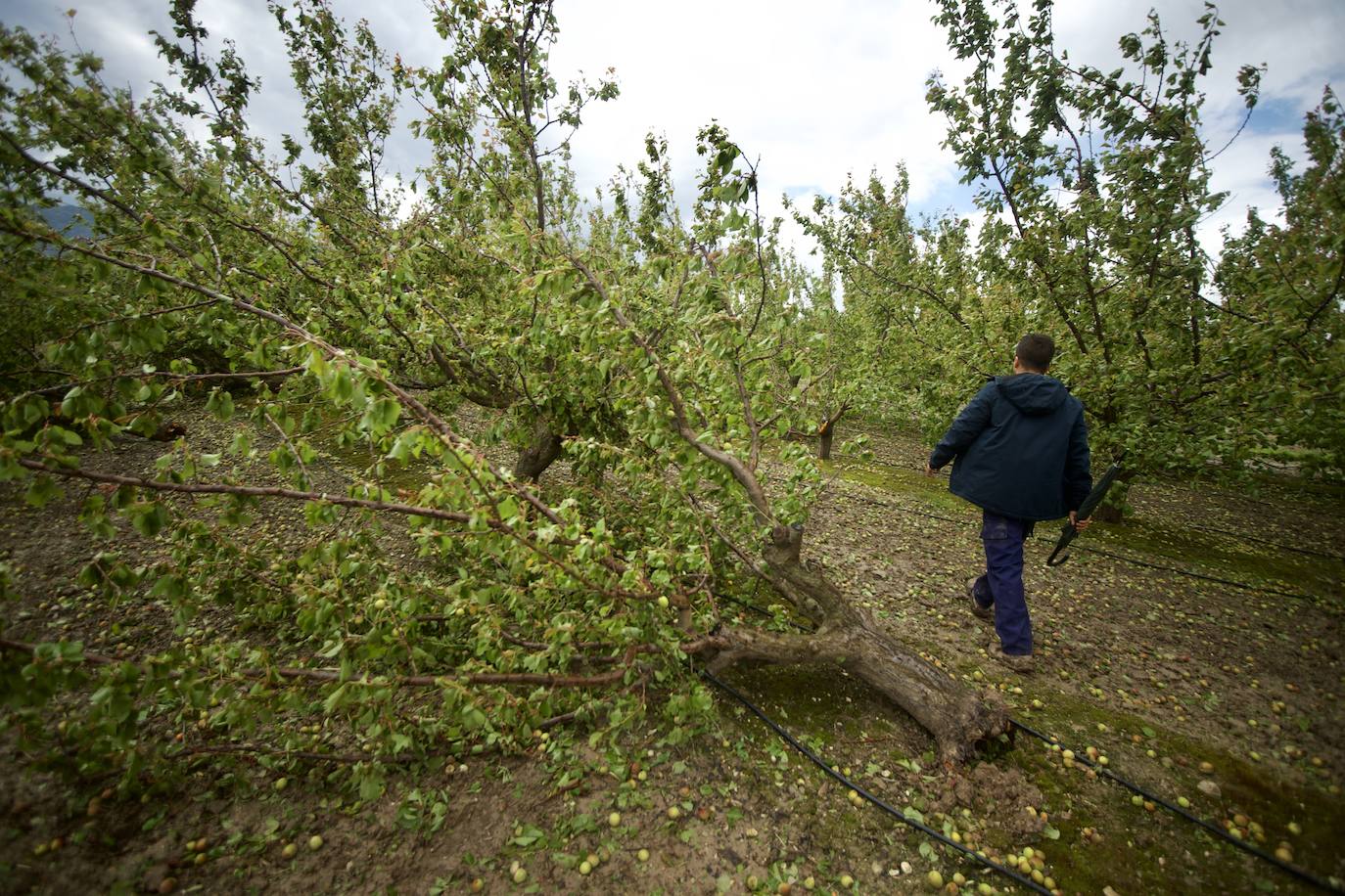 Fotos: Las consecuencias del tornado en Mula